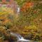 Napanoch Falls in Autumn