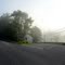Road view