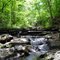 Creek