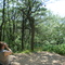 View from Mount Nittany