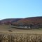 Mt. Nittany foliage