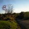 road to mount nittany