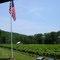 Mt. Nittany vineyard