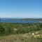 Lake Charlevoix, Boyne City, Michigan