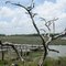 Dock on Habersham Creek