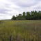 Williman Island- A heritage preserve