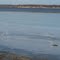 Ice on Potomac River