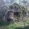 Abandoned House - Weedons Fork, VA