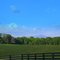 Appalachian Foothills, Cottrell Ranch, Dahnolega, GA