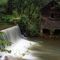 Adars Mill GA