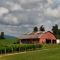 Three Sisters Vineyard - Dahlonega Lumpkin GA