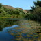 De Luz river
