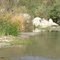 Santa Margarita River