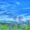 HDR - Springtime in San Diego County, CA