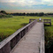 Monkey Bottom Wetland Walkway