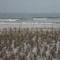Perdido Beach