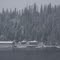 Blue Diamond Marina, Thanksgiving 2010