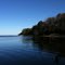Shore of the Neuse