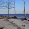 Neuse River Estuary - Croatan National Forest