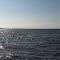 The Neuse River