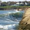 Bonnet Point