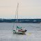 Lone Sailboat R.I.