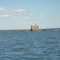 Whale Rock