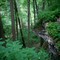 Edge of the cliff, edge of the trail