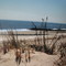 Rockaway beach...close to Manhattan