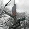 My Brooklyn:  Alongside The Belt Parkway