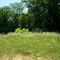 2006-6-14_Watson Rd_1