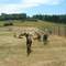 Greenbank Farm