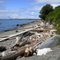 beach near Strawberry Point, Whidbey Island, WA