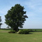 Site of Indian Church, from cemetery, August 2009