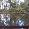Lake at douglas hart