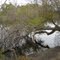 Heart Pond at Otay Valley Regional Park