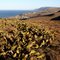 East coast of San Clemente Island near Wilson Cove