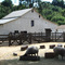 Happy Hollow Farm, Rancho San Antonio Park, Los Altos Hills, California