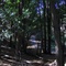 Rancho San Antonio Open Space,  Upper Wildcat Canyon Trail