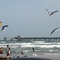 Bob Hall Pier