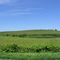 Rolling hills just outside Camillus