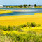 Sedge Island View of EPA Facility