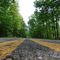 Scenic Drive in Prince William Forest Park