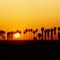 Sunset Palms, Yuma, AZ, March 1990