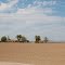 Yuma. Housing Cotton Farmer.