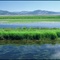 Sierra Valley, 2002