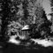 Old Cabin