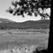 Sierra Valley