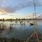 Butte Creek Farms-Duck Decoys