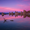 Dreaming of Mono Lake